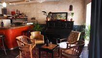 Открытие. Kombucha Bistro & Bar