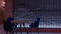 Открытие. «Четвероногая ворона»