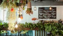 Открытие. Roots на Тверском бульваре