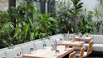 Открытие. Jungle garden cafe