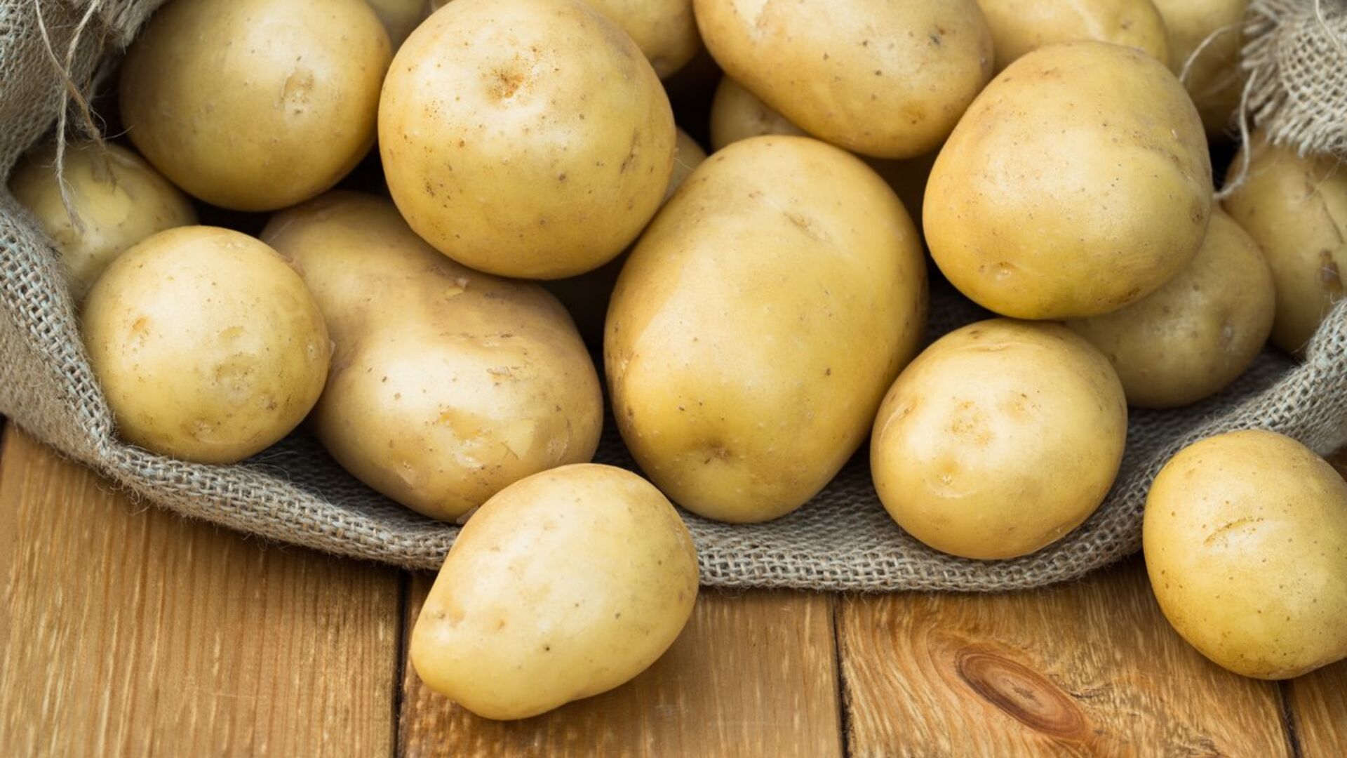Крепыш картофель характеристика отзывы. Белорусский сорт картофеля скарб. Сорт картофеля скарб. Айвори рассет картофель. Скарб элита картофель.