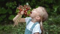 Отрава или деликатес? Вся правда о зеленой «недозрелой» клубнике