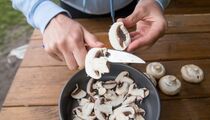 Станут вкуснее, чем любые лесные грибы: секретный маринад для шампиньонов сведет с ума всю семью