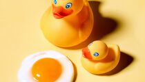 «Яйцо и булочка»: «глазунья» на стене и вкусные полезные сэндвичи. Открытие