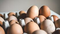 Дачники не зря запасают лотки из-под яиц: нужны не только для рассады