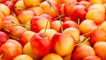 Сладкая, сочная, безумно вкусная: вот откуда привозят самую лучшую черешню