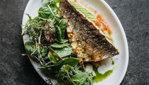Специальное меню в ресторане Magura Asian Bistro