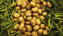 В этих продуктах белка не меньше, чем в мясе: диетолог назвал топ-3