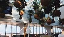 Глюк’оZа даст концерт в ресторане «Этаж 41»