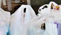 Больше никакого «пакета с пакетами»: вот как хранят изделия умные хозяйки