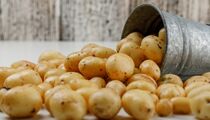 Детей за уши не оттащишь: для этого аппетитного гарнира нужны картофель и бутылка