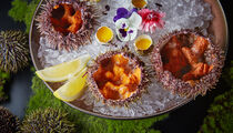 Humans Seafood Bar угощает морскими ежами