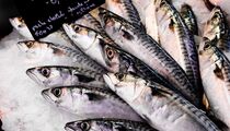 Засолить вкусную скумбрию может любая хозяйка: этот рецепт под силу каждому