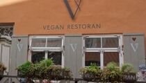 Колонка ресторанного критика: ресторан «Vegan Restoran V»