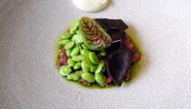 Ресторанный критик: отзыв о ресторане «Jerome»