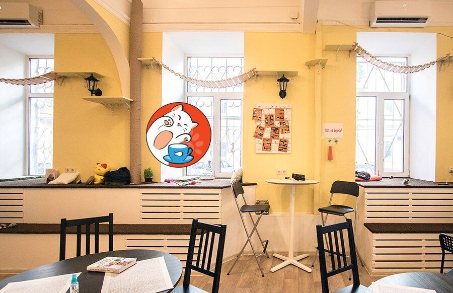 Антикафе с животными в москве. Котофейня в екатеринбурге. Кофейня котофейня донецк. Котофейня маросейка д. Котокафе котофейня.