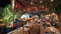 Фотографии ресторана «Tony's Kitchen»