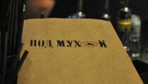 Под мухой
