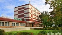 Полисть
