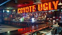 Бар «Гадкий Койот / Coyote Ugly»