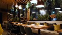 Koi bar