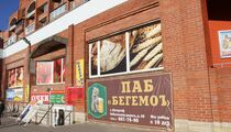 Бегемот