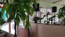 Мангал-сити