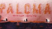 Paloma Cantina