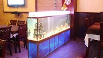 Fish / Фиш