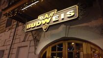 Фото Будвайс