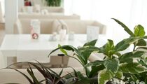 Terraza / Терраса (РГ Casa Del Mar)