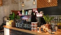 Фотографии кофейни Surf coffee