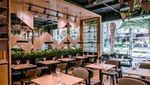 UMI Asian kitchen&bar