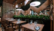 UMI Asian kitchen&bar