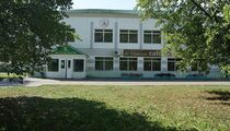 Колос