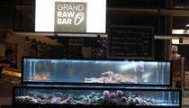 Фотографии фуд-корта Grand raw bar