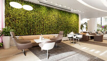 Cote Jardin