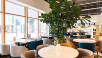 Williams Et Oliver Cafe