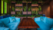 Мята Lounge 