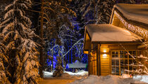 Shishkin cafe 