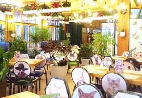 Руки ВВерх! Бар