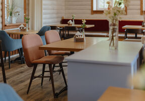 Три толстяка