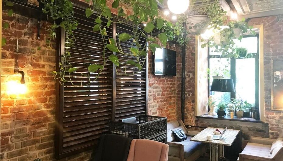 Отзывы о гранд-кафе Плюш