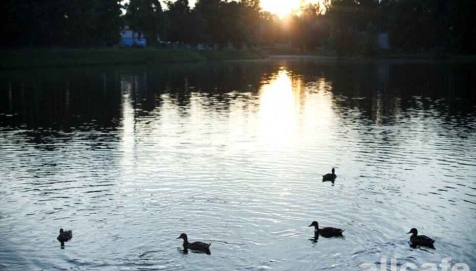 Ресторан Юность