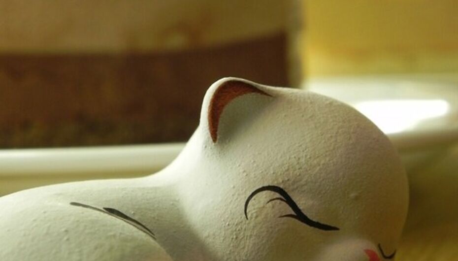 Кофейня Сны любимого кота