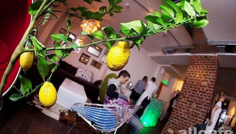 Кафе Moloko & Mёd / Молоко и мед