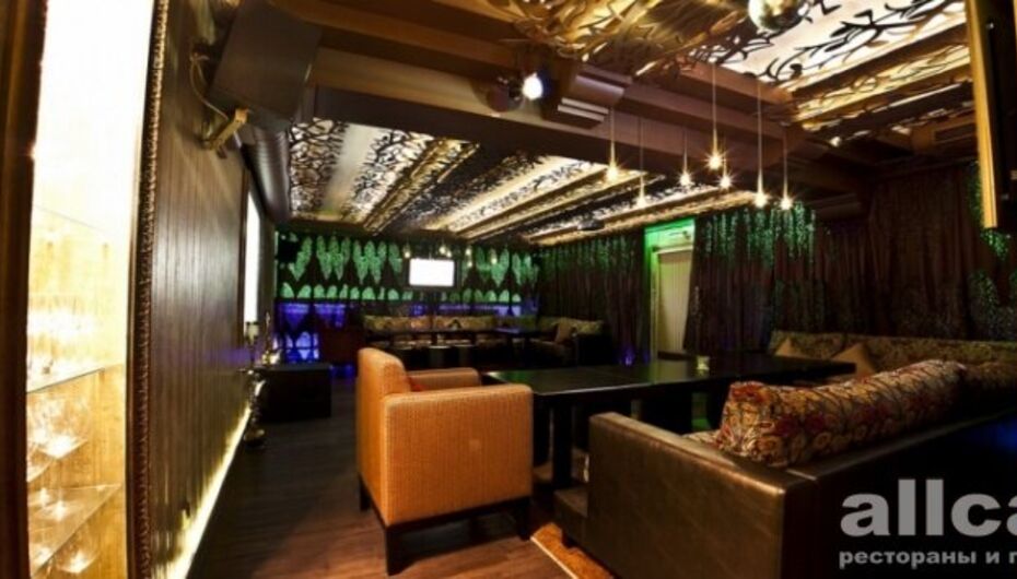 Бар Ухо & Медведь / Ухо и Медведь