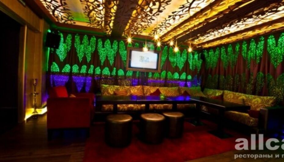 Бар Ухо & Медведь / Ухо и Медведь