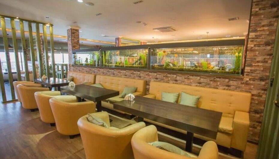 Отзывы о гриль-баре Дружба