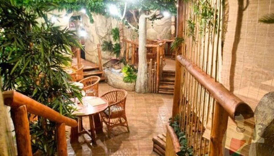 Кафе-бар Jungle bar / Джунгли Бар